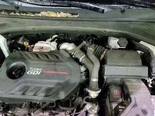 2019 Hyundai Santa Fe Limited z VIN 5NMS53AA4KH073040, wystawiony jako Copart lot #41859855 z przebiegiem 98 904 mil mil oraz Szkoda całkowita • Salvage title. Historia ofert i sprzedaży dostępna na DreamBid. Obrazek 16.