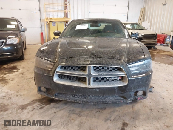 2014 Dodge Charger RT with VIN 2C3CDXDT5EH248671, listed as a IAAI auction lot 41430969 with 173,167 mi miles. Bid and sale history available at carsss.com. Image 12.