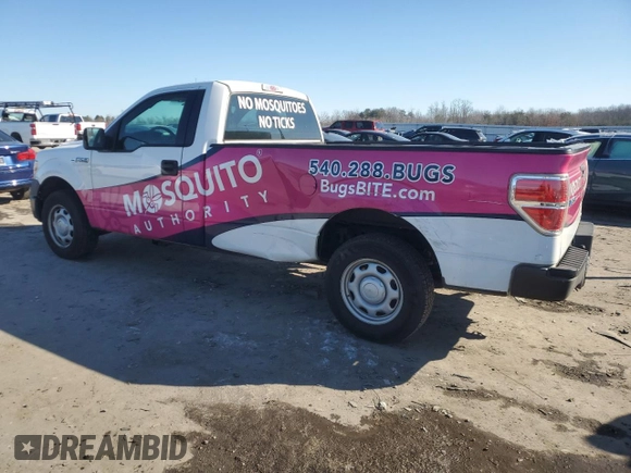 2013 Ford F-150 XL with VIN 1FTMF1CM3DKD60152, listed as a Copart auction lot 88421365 with 169,268 mi miles and Salvage Title. Bid and sale history available at carsss.com. Image 2.