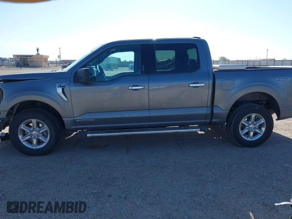 2024 Ford F-150 XLT with VIN 1FTFW3LD9RFA71927, listed as a IAAI auction lot 42050486 with 44,137 mi miles. Bid and sale history available at carsss.com. Image 14.