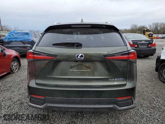 2021 Lexus NX 300h with VIN JTJGJRDZ9M2155016, listed as a Copart auction lot 49876235 with 43,870 mi miles and Salvage title. Bid and sale history available at DreamBid. Image 6.