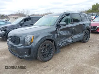 2022 Kia Telluride EX with VIN 5XYP3DHC6NG218702, listed as a IAAI auction lot 41900380 with 46,876 mi miles and . Bid and sale history available at carsss.com. Image 2.