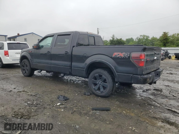 2013 Ford F-150 XL with VIN 1FTFW1ET6DFA69537, listed as a Copart auction lot 58873525 with 202,323 mi miles and Clean title. Bid and sale history available at DreamBid. Image 2.