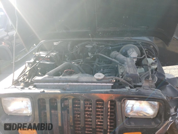 1995 Jeep Wrangler S with VIN 1J4FY19P0SP266468, listed as a Copart auction lot 74011814 with 269,912 mi miles and Salvage Title. Bid and sale history available at carsss.com. Image 11.