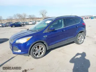 2014 Ford Escape SE with VIN 1FMCU0GX0EUB45748, listed as a IAAI auction lot 41778738 with 305,995 mi miles. Bid and sale history available at carsss.com. Image 2.