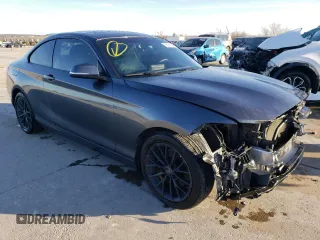 2016 BMW 2 Series 228i with VIN WBA1F9C55GV546771, listed as a Copart auction lot 38291464 with 116,803 mi miles. Bid and sale history available at carsss.com. Image 4.