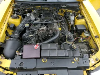 1999 Ford Mustang GT with VIN 1FAFP42X3XF122517, listed as a Copart auction lot 43313095 with 0 mi miles and Salvage Title. Bid and sale history available at carsss.com. Image 11.