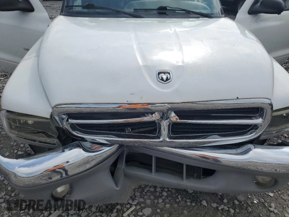 1999 Dodge Dakota SLT z VIN 1B7FL26X3XS170126, wystawiony jako Copart lot #54621095 z przebiegiem 192 965 mil mil oraz Szkoda całkowita • Salvage title. Historia ofert i sprzedaży dostępna na DreamBid. Obrazek 11.