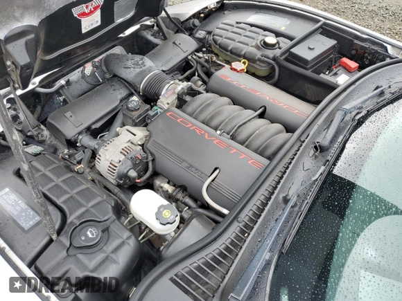2004 Chevrolet Corvette with VIN 1G1YY22G045133506, listed as a Copart auction lot 48491135 with 54,293 mi miles and Salvage Title. Bid and sale history available at carsss.com. Image 11.