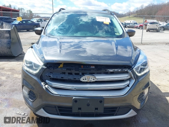 2017 Ford Escape SE with VIN 1FMCU9GDXHUA10453, listed as a IAAI auction lot 41860507 with 175,733 mi miles and . Bid and sale history available at DreamBid. Image 6.