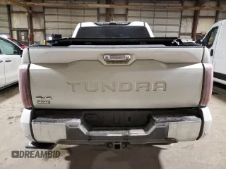 2022 Toyota Tundra 1794 Edition with VIN 5TFMA5DB0NX009609, listed as a Copart auction lot 86996704 with 79,697 mi miles and Salvage title. Bid and sale history available at DreamBid. Image 6.
