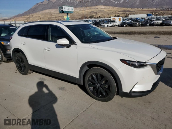 2022 Mazda CX-9 Touring Plus with VIN JM3TCBAY1N0620696, listed as a Copart auction lot 85800114 with 30,244 mi miles and Salvage Title. Bid and sale history available at carsss.com. Image 4.