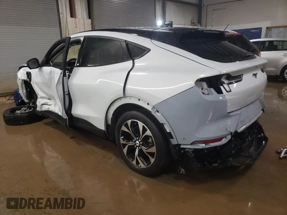 2023 Ford Mustang Mach-E Premium with VIN 3FMTK3SU6PMA84840, listed as a Copart auction lot 51263575 with 64,459 mi miles and Non Repairable. Bid and sale history available at DreamBid. Image 2.