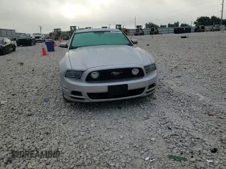 2013 Ford Mustang GT with VIN 1ZVBP8CF2D5215937, listed as a Copart auction lot 61425015 with Not provided miles and Salvage title. Bid and sale history available at DreamBid. Image 13.