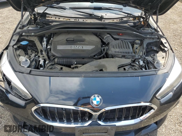 2022 BMW 2 Series 228i with VIN WBA53AK00N7K22579, listed as a Copart auction lot 60313095 with 82,908 mi miles and Salvage title. Bid and sale history available at DreamBid. Image 11.