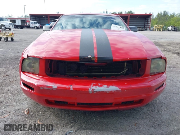 2008 Ford Mustang Deluxe with VIN 1ZVHT80N885207607, listed as a IAAI auction lot 42012378 with 147,346 mi miles. Bid and sale history available at carsss.com. Image 13.