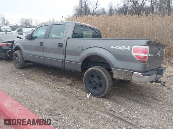 2013 Ford F-150 XL with VIN 1FTFW1EF4DKE14775, listed as a IAAI auction lot 41554959 with 152,874 mi miles. Bid and sale history available at carsss.com. Image 3.