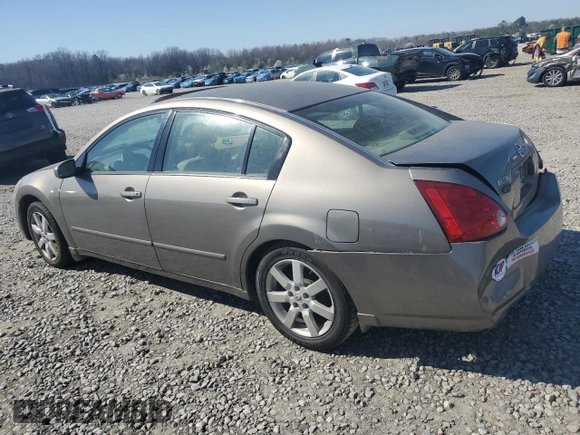 2006 Nissan Maxima 3.5 SL with VIN 1N4BA41E06C828764, listed as a Copart auction lot 44367465 with 0 mi miles and Salvage Title. Bid and sale history available at carsss.com. Image 2.