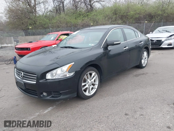 2011 Nissan Maxima S with VIN 1N4AA5AP0BC866153, listed as a IAAI auction lot 41956111 with 244,557 mi miles and . Bid and sale history available at DreamBid. Image 2.