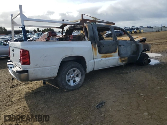 2008 Dodge Dakota SXT with VIN 1D7HE38K68S573308, listed as a Copart auction lot 51012575 with Not Provided miles and Non Repairable. Bid and sale history available at DreamBid. Image 3.