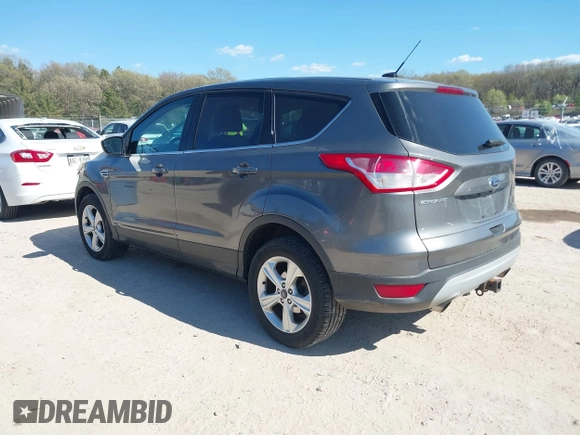 2014 Ford Escape SE with VIN 1FMCU9G99EUB13371, listed as a IAAI auction lot 42167417 with 140,145 mi miles and . Bid and sale history available at DreamBid. Image 3.