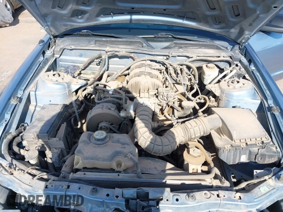 2005 Ford Mustang Deluxe with VIN 1ZVFT80N655158524, listed as a IAAI auction lot 42341019 with 169,878 mi miles and . Bid and sale history available at DreamBid. Image 10.