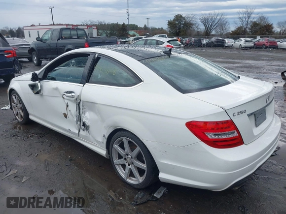 2015 Mercedes-Benz C-Class C 250 with VIN WDDGJ4HB6FG401261, listed as a IAAI auction lot 41483848 with 124,915 mi miles. Bid and sale history available at carsss.com. Image 3.