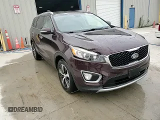 2016 Kia Sorento EX with VIN 5XYPH4A5XGG068691, listed as a Copart auction lot 60444925 with 163,390 mi miles and Salvage title. Bid and sale history available at DreamBid. Image 14.
