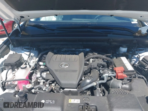 2024 Lexus NX 350 Premium with VIN JTJGGCEZ8R5006094, listed as a IAAI auction lot 41848568 with 23,923 mi miles and . Bid and sale history available at DreamBid. Image 10.