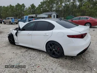 2019 Alfa Romeo Giulia with VIN ZARFAMAN2K7622835, listed as a Copart auction lot 45036085 with 0 mi miles and Salvage Title. Bid and sale history available at carsss.com. Image 2.