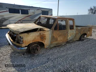 1996 Ford F-150 with VIN 1FTEX15N8TKA18735, listed as a Copart auction lot 52289615 with Not provided miles and Non repairable. Bid and sale history available at DreamBid. Image 1.