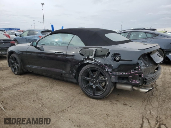 2019 Ford Mustang EcoBoost with VIN 1FATP8UH1K5196047, listed as a Copart auction lot 43608795 with 62,570 mi miles and Salvage Title. Bid and sale history available at carsss.com. Image 2.
