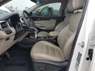 2016 Kia Sorento EX with VIN 5XYPH4A18GG125810, listed as a Copart auction lot 49037535 with 161,383 mi miles and Salvage Title. Bid and sale history available at DreamBid. Image 7.