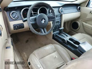 2006 Ford Mustang Standard with VIN 1ZVFT80N065258510, listed as a Copart auction lot 54848675 with 116,209 mi miles and Clean title. Bid and sale history available at DreamBid. Image 8.