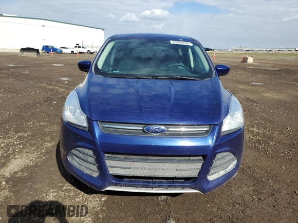 2014 Ford Escape SE with VIN 1FMCU9GX2EUA64657, listed as a Copart auction lot 55334765 with 116,504 mi miles and Clean Title. Bid and sale history available at carsss.com. Image 5.