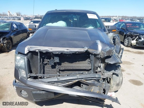 2010 Ford F-150 XL with VIN 1FTEW1C8XAKE14338, listed as a IAAI auction lot 41696686 with 186,475 mi miles. Bid and sale history available at carsss.com. Image 11.