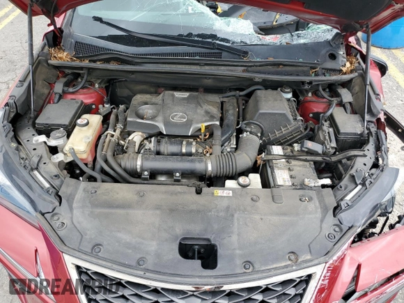 2019 Lexus NX 300 with VIN JTJBARBZ7K2194925, listed as a Copart auction lot 78596774 with Not provided miles and Salvage title. Bid and sale history available at DreamBid. Image 24.