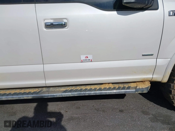 2016 Ford F-150 XLT with VIN 1FTEW1EG6GFD49154, listed as a IAAI auction lot 41827349 with 166,278 mi miles. Bid and sale history available at carsss.com. Image 6.