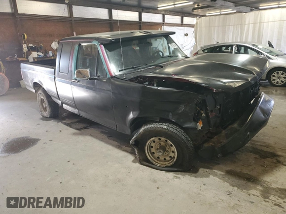 1994 Ford F-150 with VIN 1FTEX14N6RKB98078, listed as a Copart auction lot 75176714 with 243,667 mi miles and Salvage Title. Bid and sale history available at carsss.com. Image 4.