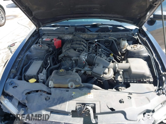 2012 Ford Mustang Premium с VIN 1ZVBP8AM9C5211013, выставлен на аукционе IAAI как лот 41861439 с пробегом 167 286 миль миль и . История ставок и продаж доступна на DreamBid. Изображение 10.