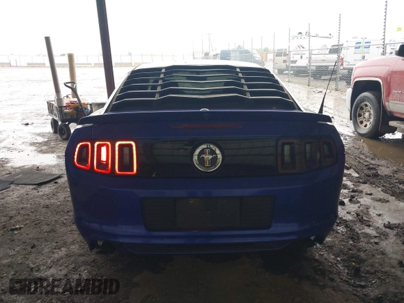 2013 Ford Mustang V6 with VIN 1ZVBP8AM2D5262273, listed as a IAAI auction lot 42411691 with 163,552 mi miles and . Bid and sale history available at DreamBid. Image 17.