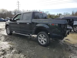 2018 Ford F-150 XL with VIN 1FTEW1EG6JFE44000, listed as a Copart auction lot 44546385 with 119,387 mi miles and Salvage Title. Bid and sale history available at carsss.com. Image 2.
