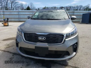 2019 Kia Sorento EX V6 with VIN 5XYPHDA52KG479009, listed as a Copart auction lot 50638255 with 114,647 mi miles and Clean Title. Bid and sale history available at carsss.com. Image 5.