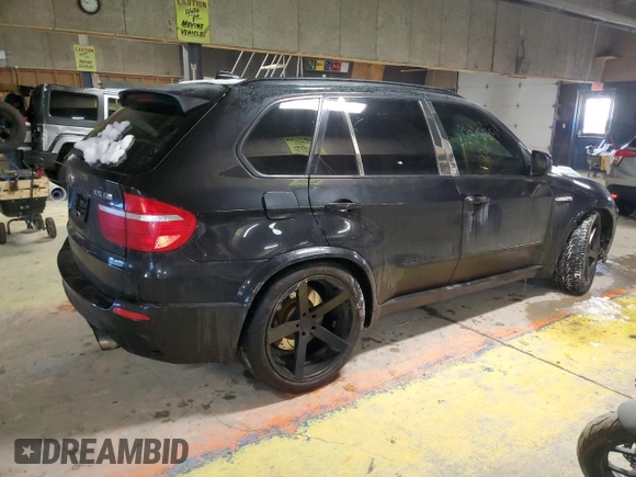 2010 BMW X5 M with VIN 5YMGY0C58ALK25854, listed as a Copart auction lot 87815685 with 0 mi miles and Salvage Title. Bid and sale history available at carsss.com. Image 3.