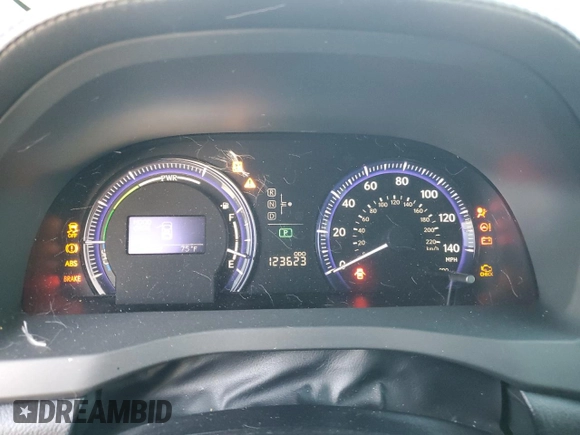 2010 Lexus HS with VIN JTHBB1BA2A2001136, listed as a Copart auction lot 79146324 with 123,623 mi miles and Salvage Title. Bid and sale history available at carsss.com. Image 9.
