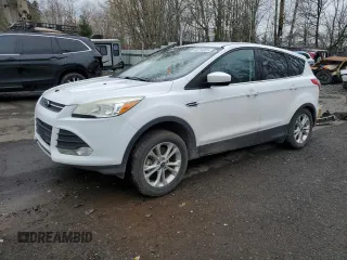 2013 Ford Escape SE z VIN 1FMCU9GX5DUD70573, wystawiony jako Copart lot #48716005 z przebiegiem 176 235 mil mil oraz Szkoda całkowita • Salvage title. Historia ofert i sprzedaży dostępna na DreamBid. Obrazek 1.