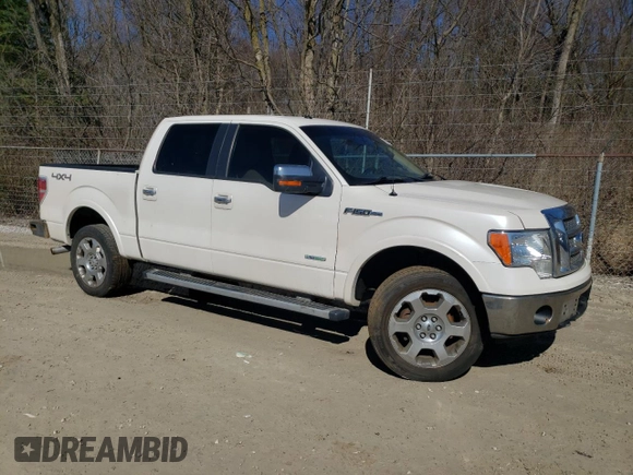 2011 Ford F-150 XLT with VIN 1FTFW1ET1BFC64913, listed as a Copart auction lot 49413115 with 204,750 mi miles and Clean Title. Bid and sale history available at carsss.com. Image 4.