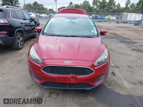 2016 Ford Focus SE with VIN 1FADP3F24GL249455, listed as a IAAI auction lot 40421121 with 49,043 mi miles. Bid and sale history available at carsss.com. Image 12.