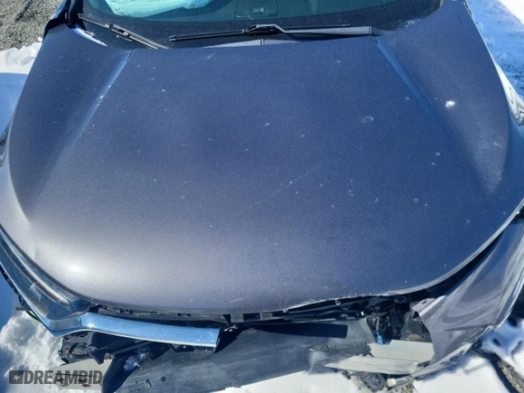 2019 Honda CR-V EX with VIN 2HKRW2H58KH114822, listed as a Copart auction lot 48309045 with 0 mi miles and Salvage Title. Bid and sale history available at carsss.com. Image 12.