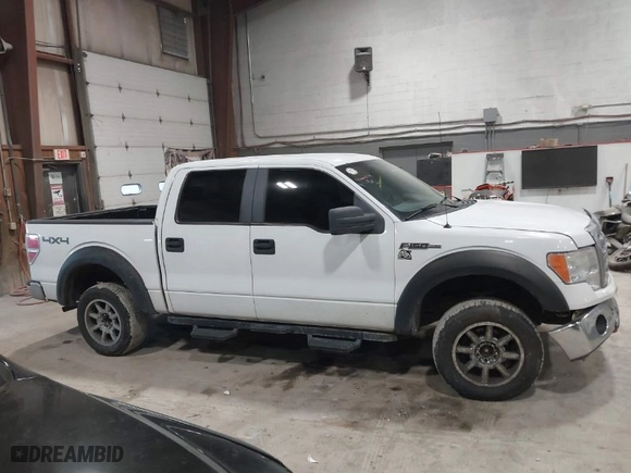 2009 Ford F-150 XL with VIN 1FTPW14V99KC52243, listed as a IAAI auction lot 41500479 with 186,304 mi miles. Bid and sale history available at carsss.com. Image 13.